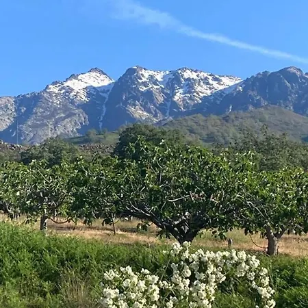 Mirada A Gredos Candeleda