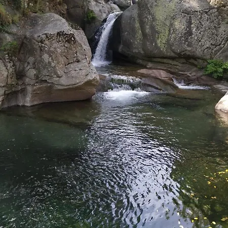 Mirada A Gredos *