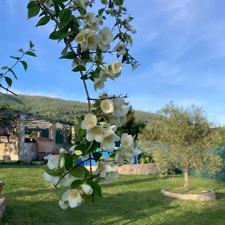 Mirada A Gredos Holiday home *