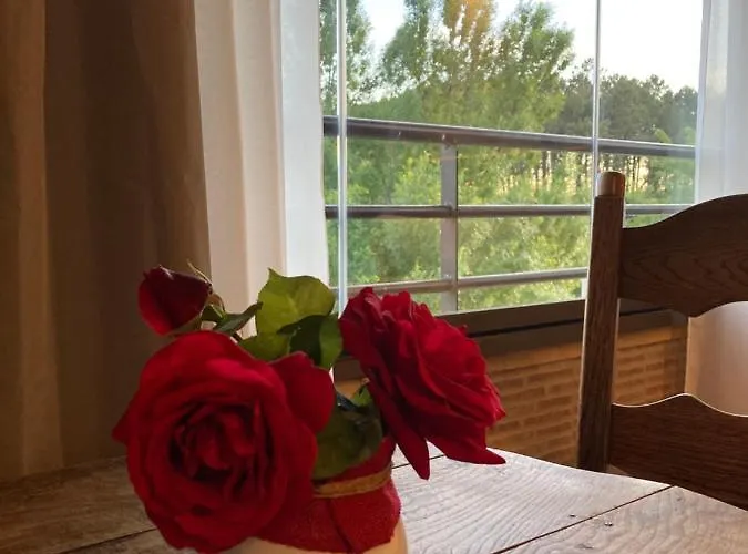 Mirada A Gredos * 坎德莱达