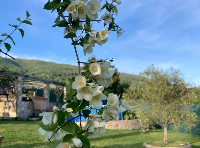 Mirada A Gredos Hébergement de vacances *